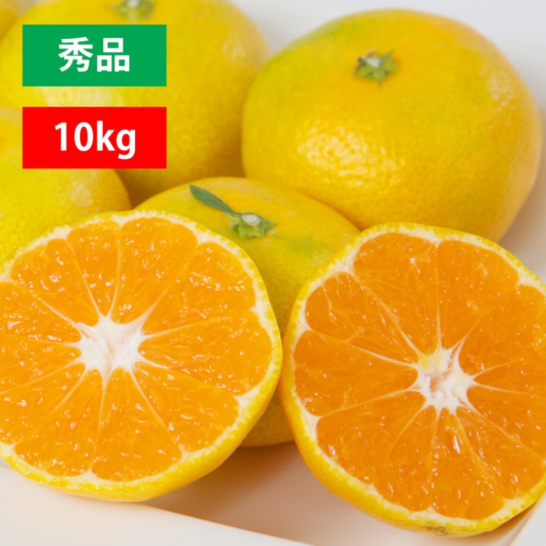【今期販売終了】極早生みかん 秀品10kg