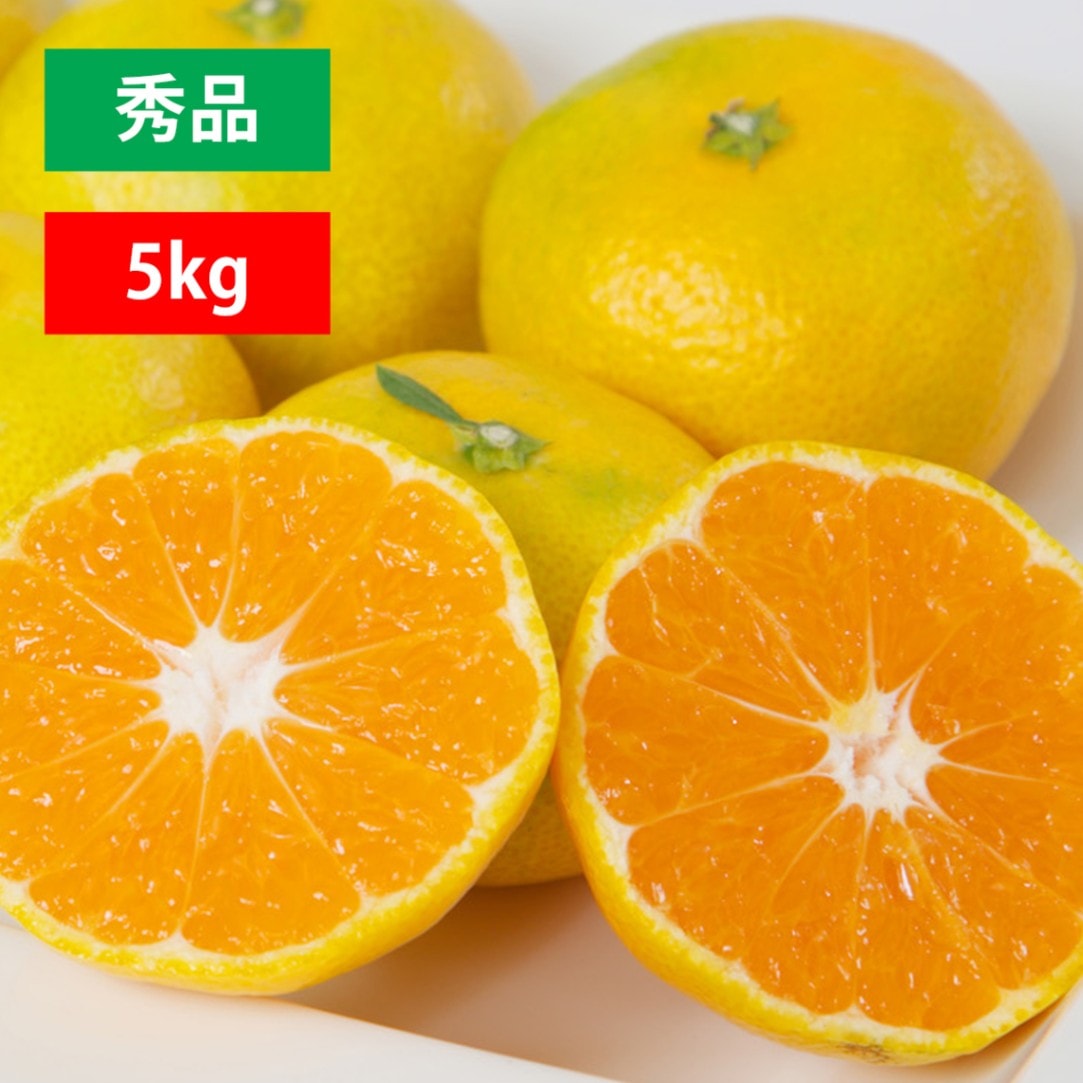 【今期販売終了】極早生みかん 秀品5kg