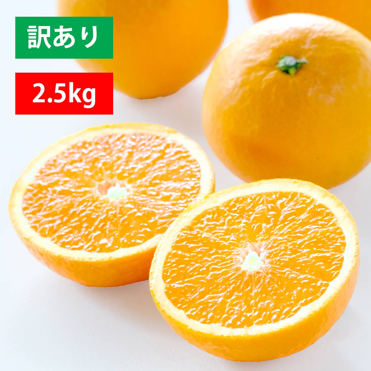 清見 訳あり 2.5kg