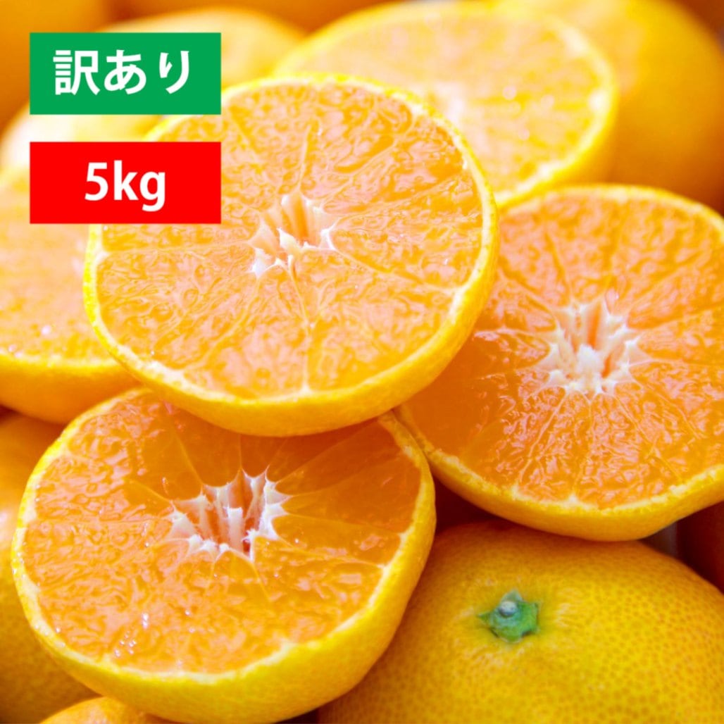 【今期販売終了】極早生みかん 訳あり5kg