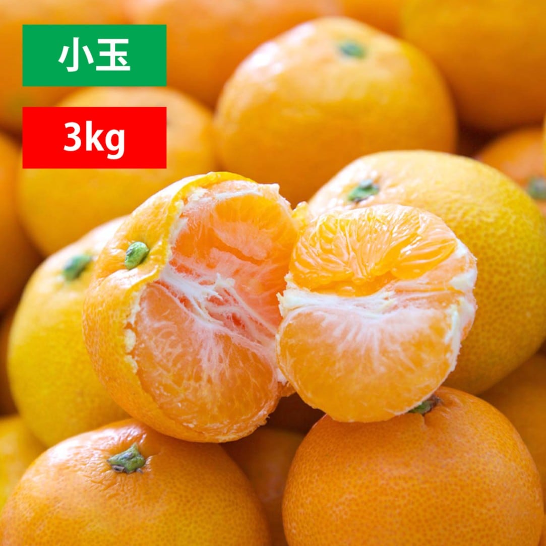【今期販売終了】極早生みかん 小玉3kg