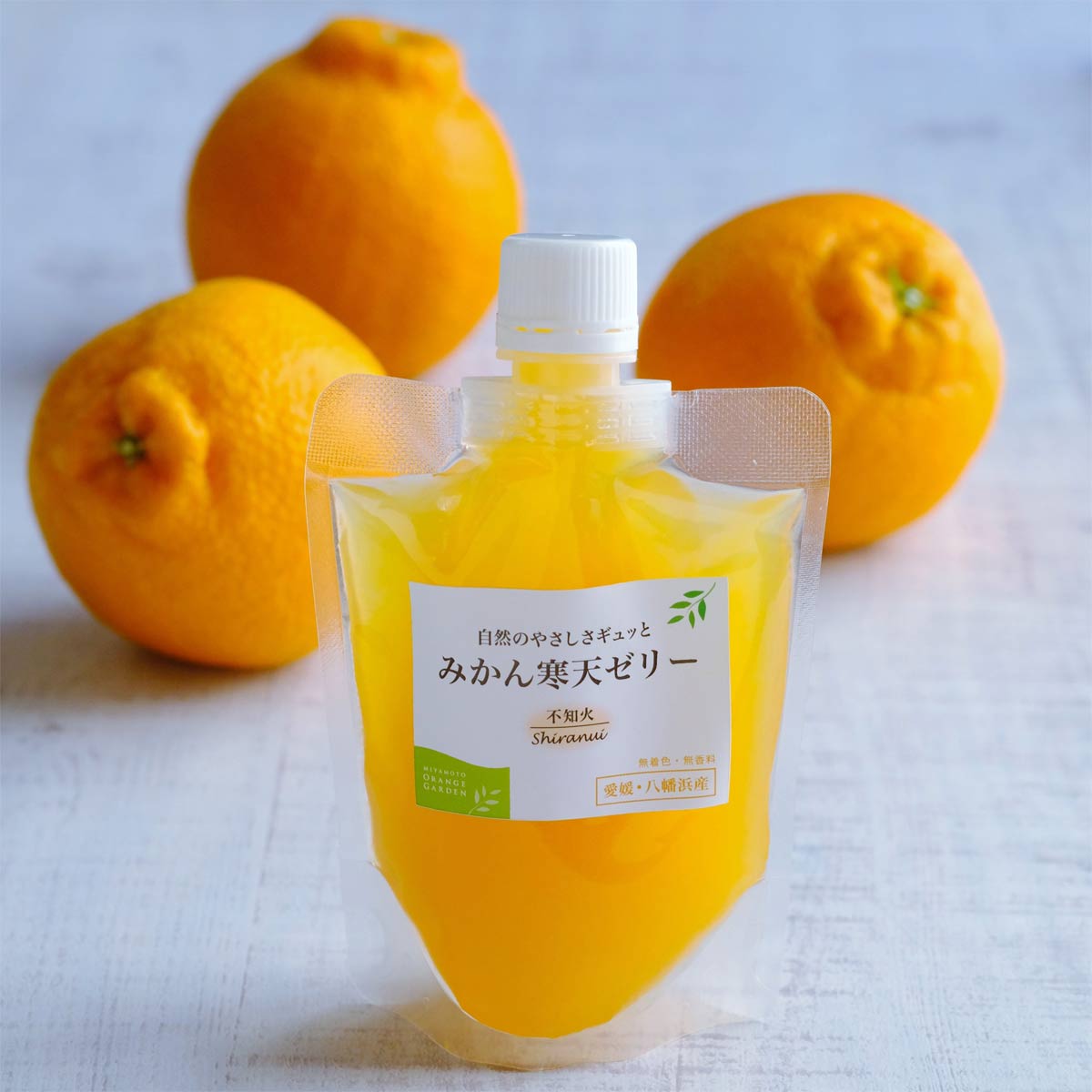 不知火寒天ゼリー×8本セット