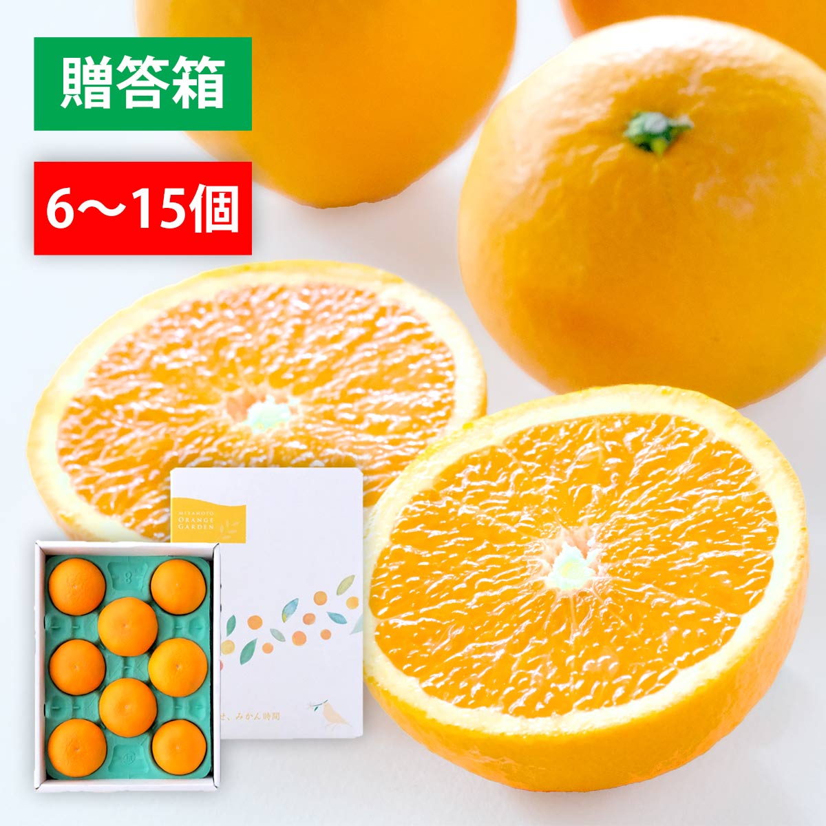清見 贈答箱入り 6~15個入り