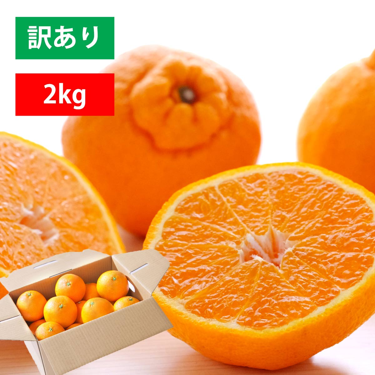 不知火 訳あり 2kg
