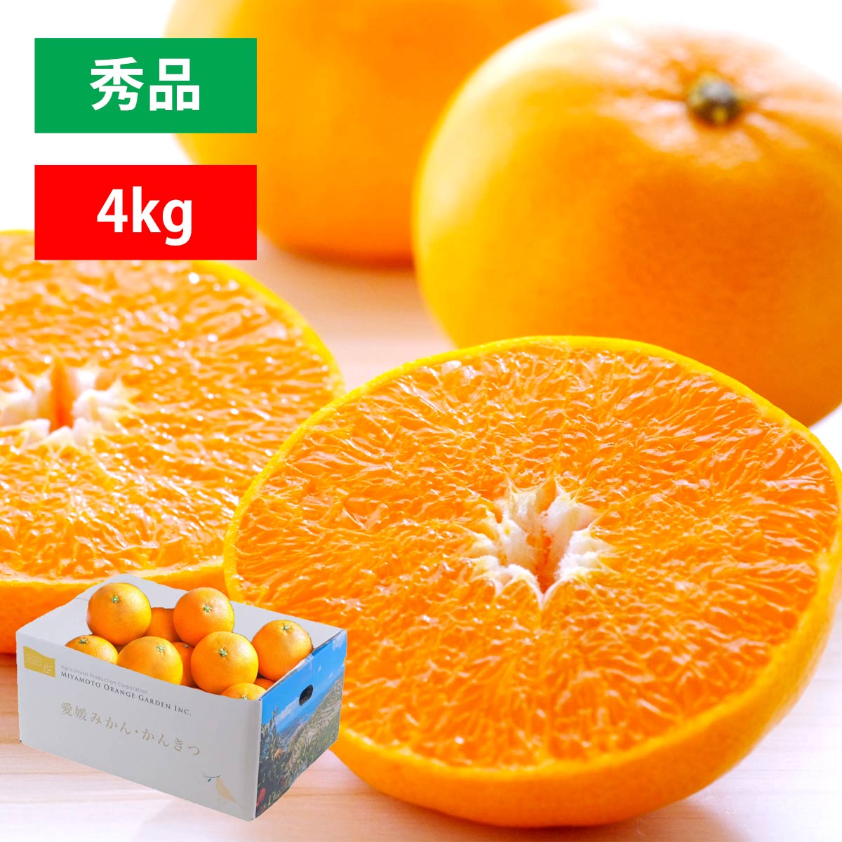 せとか 4kg