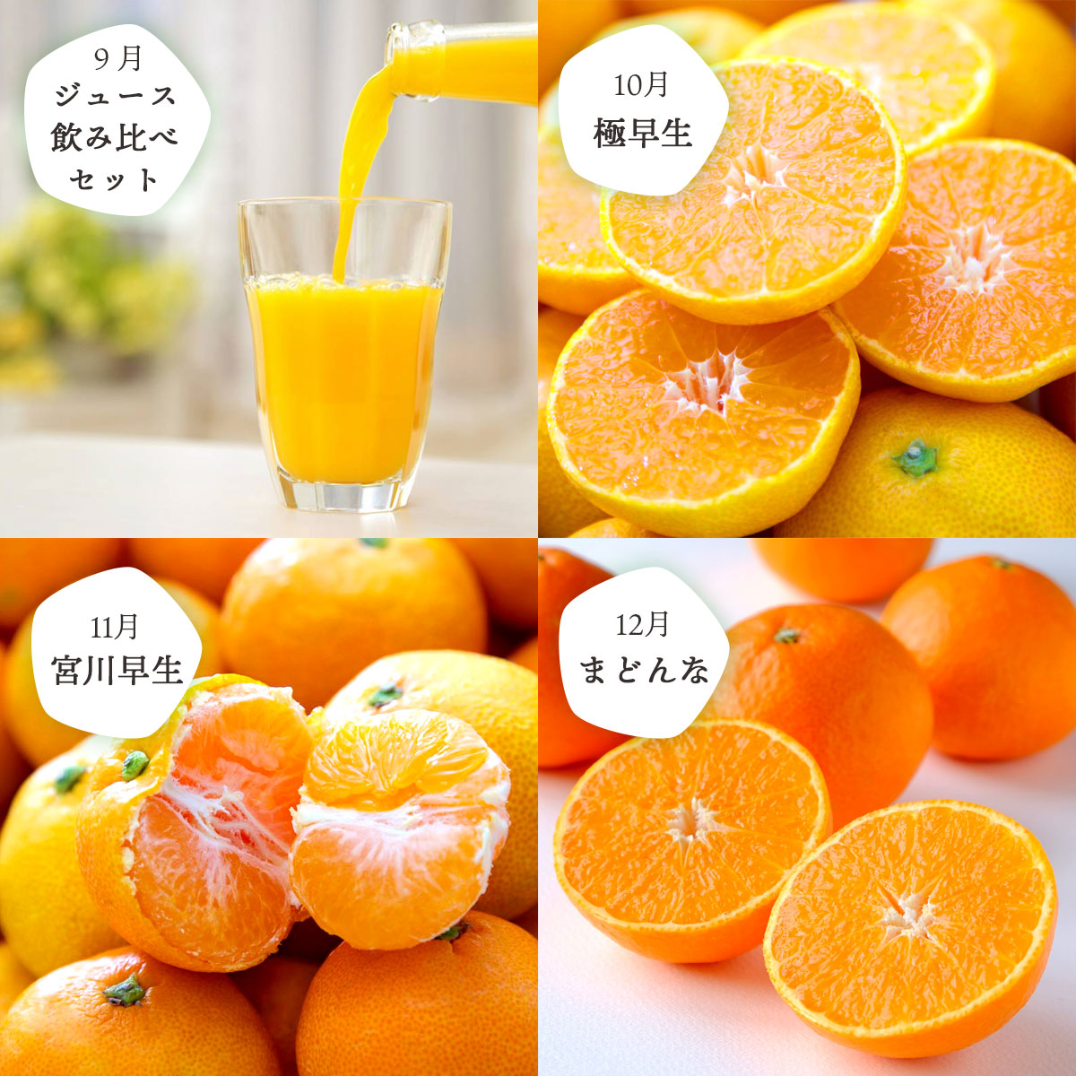 みかん定期便 秀品コース