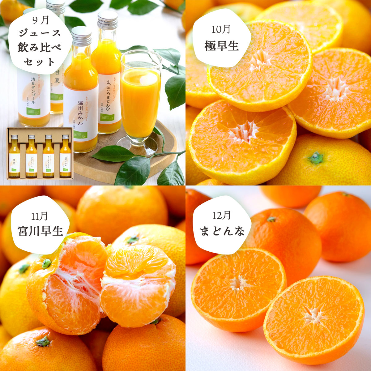 みかん定期便 秀品 1~2人向け少量コース