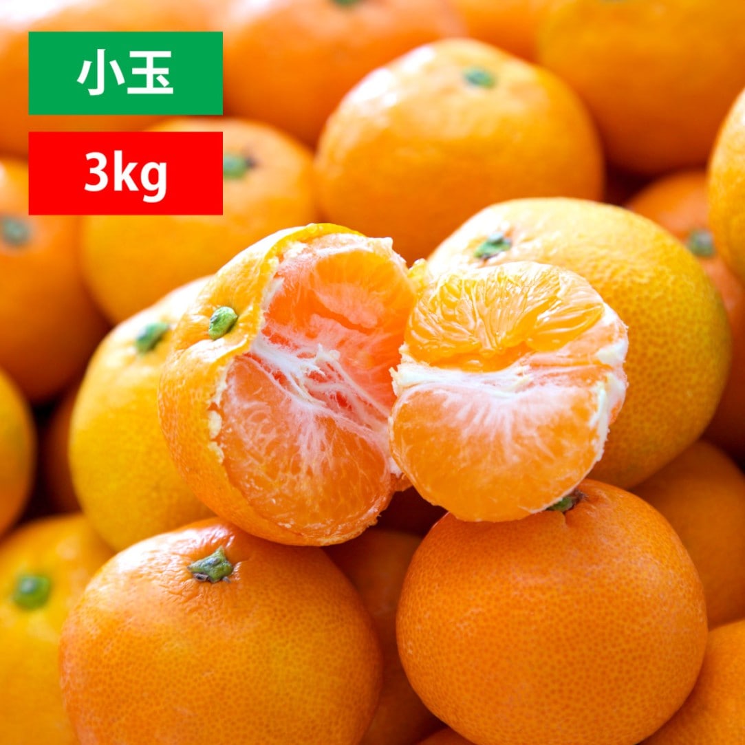 【予約】愛媛みかん 小玉 訳あり 3kg
