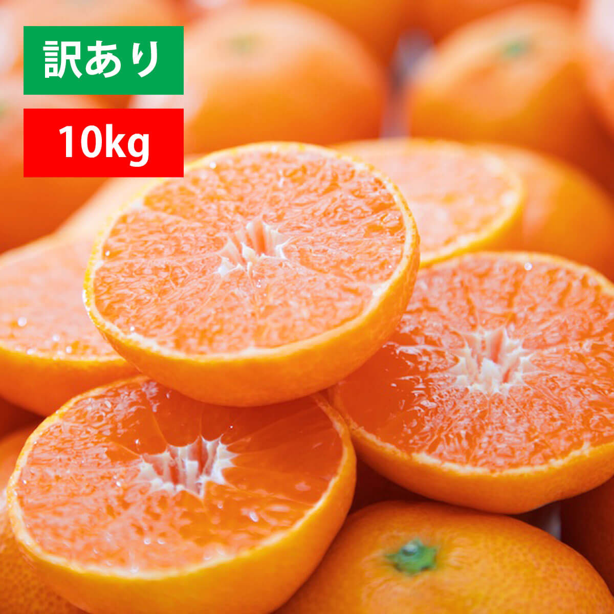 【予約】愛媛みかん 訳あり 10kg