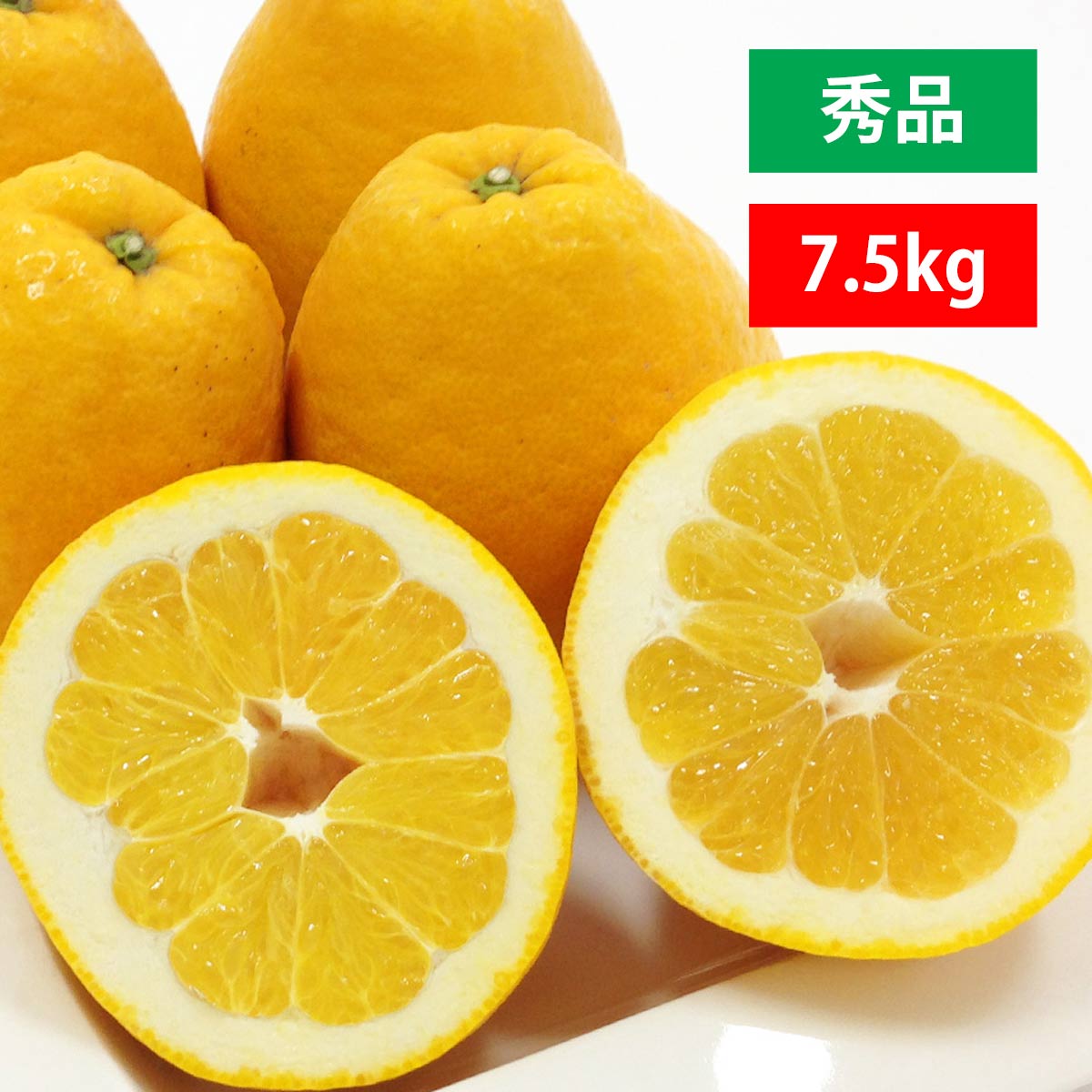 河内晩柑 秀品 7.5kg