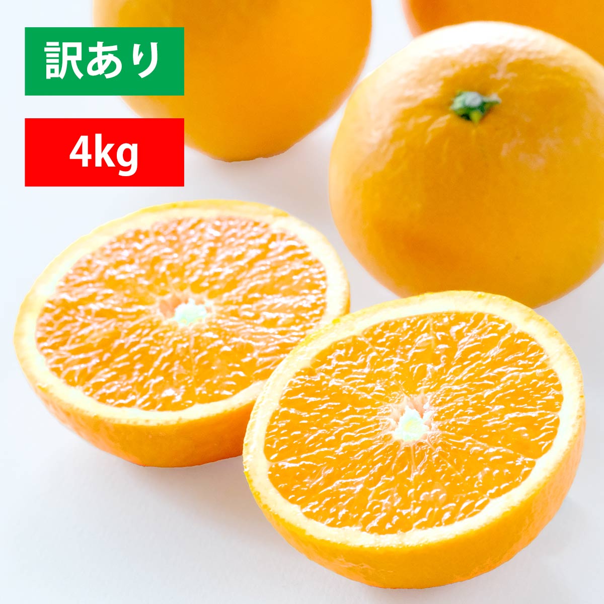 清見 訳あり 4kg