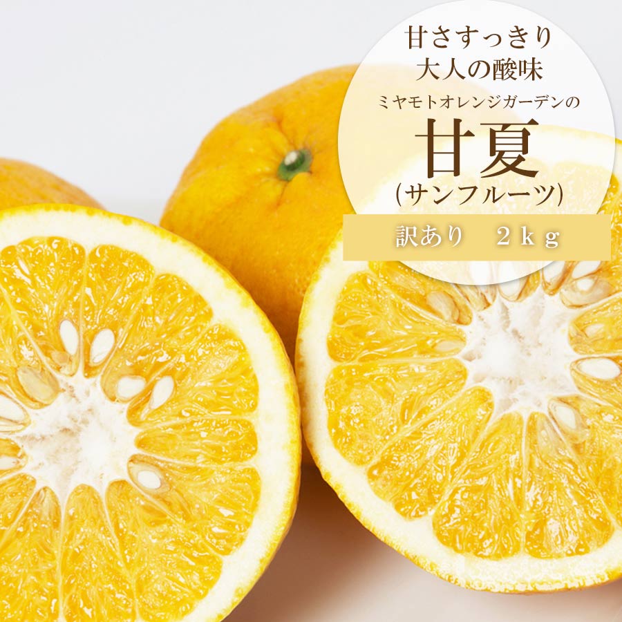 甘夏（サンフルーツ）　訳あり2kg