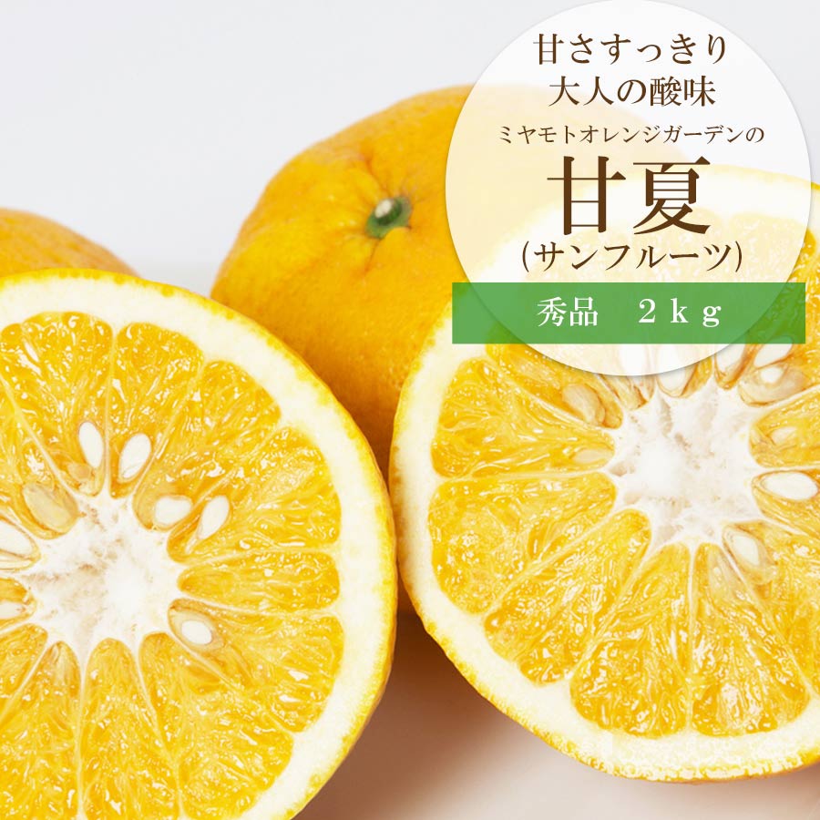 甘夏（サンフルーツ）　秀品2kg
