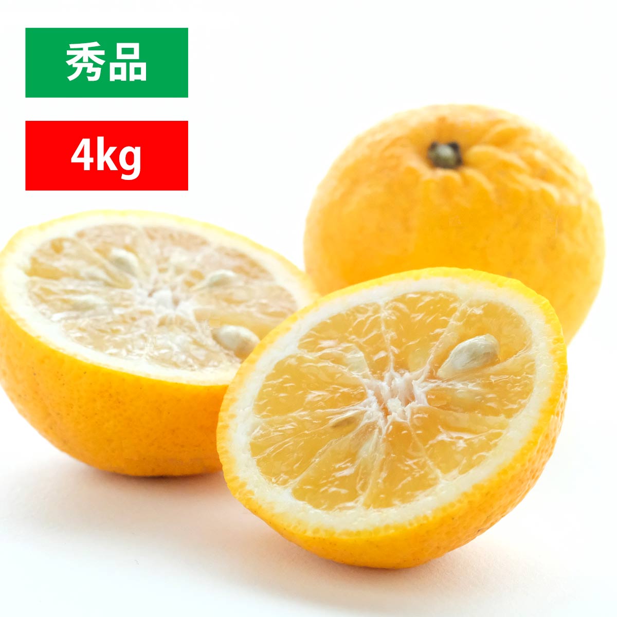 ニューサマー 秀品 4kg