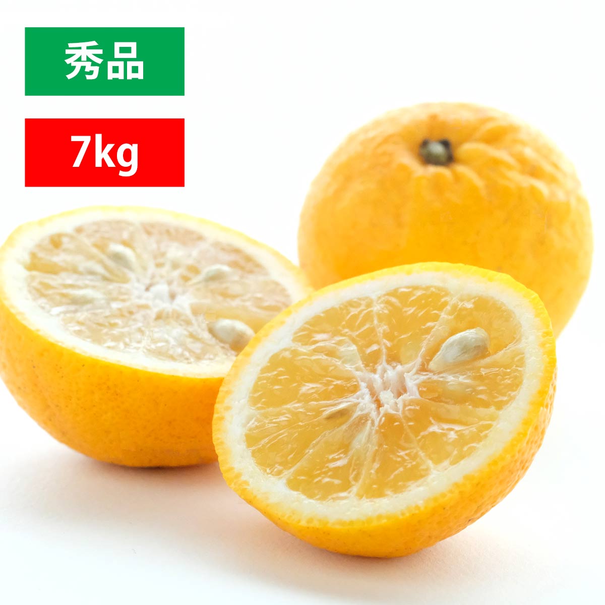 ニューサマー 秀品 7kg