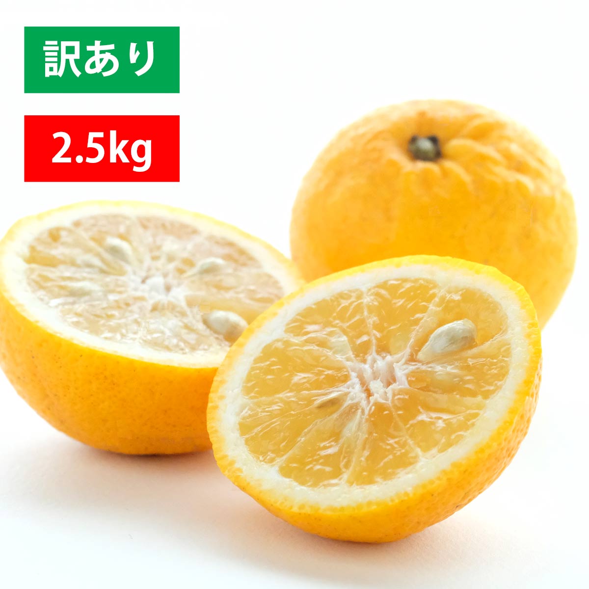 ニューサマー 訳あり 2.5kg