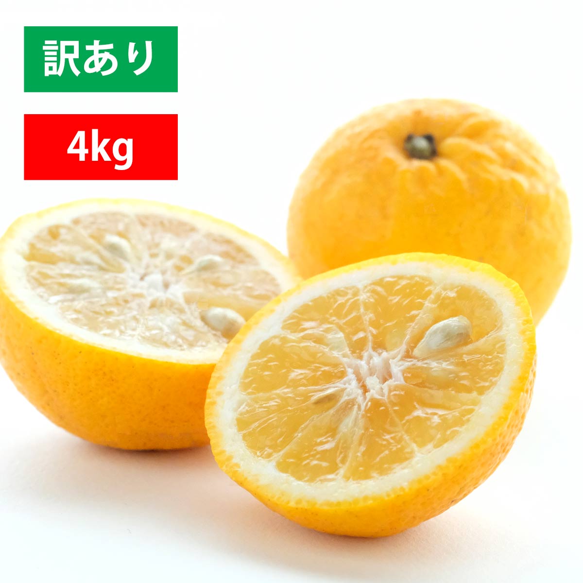 ニューサマー 訳あり 4kg
