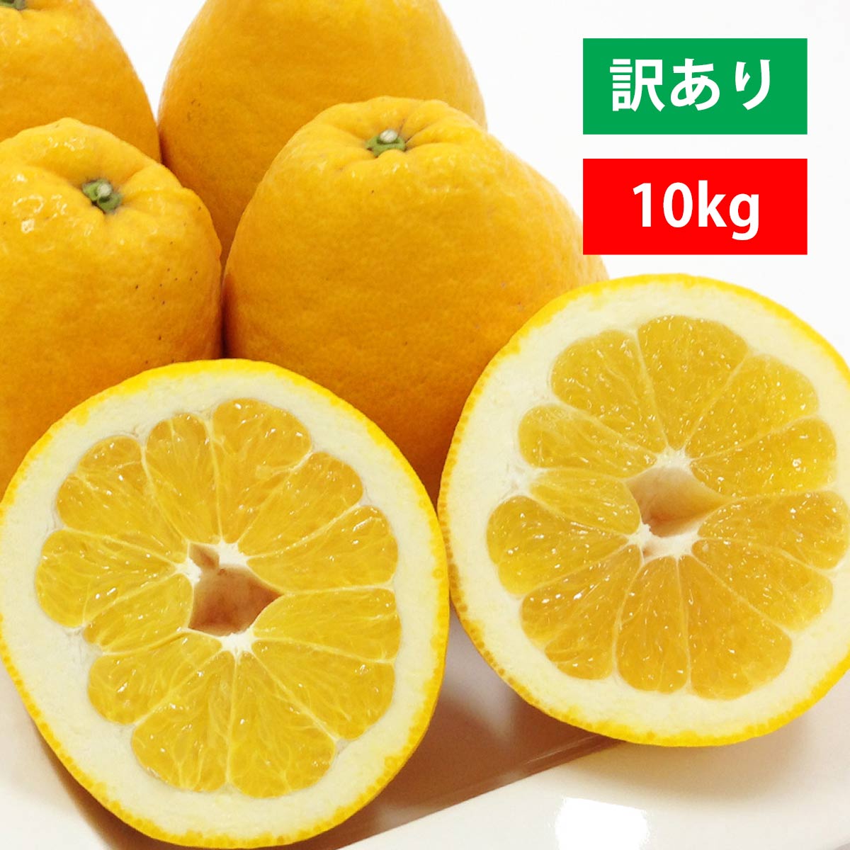 河内晩柑 訳あり 10kg