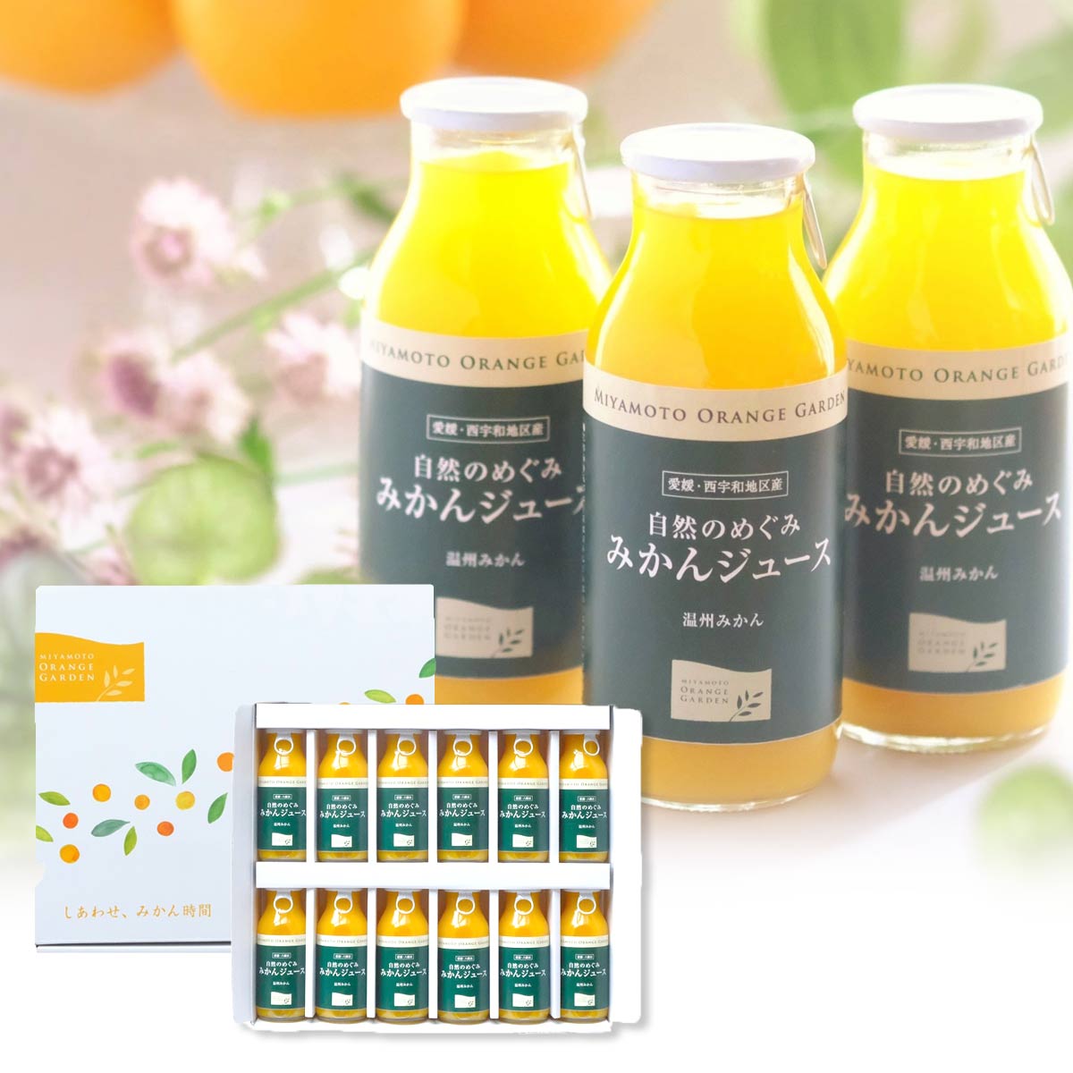 みかん 100% ストレートジュース 贈答用箱入り 180ml×12本