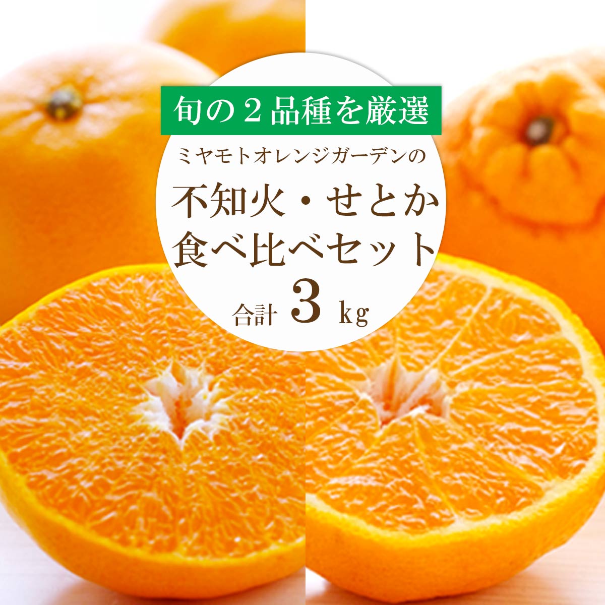 せとか不知火 食べ比べセット 合計3kg