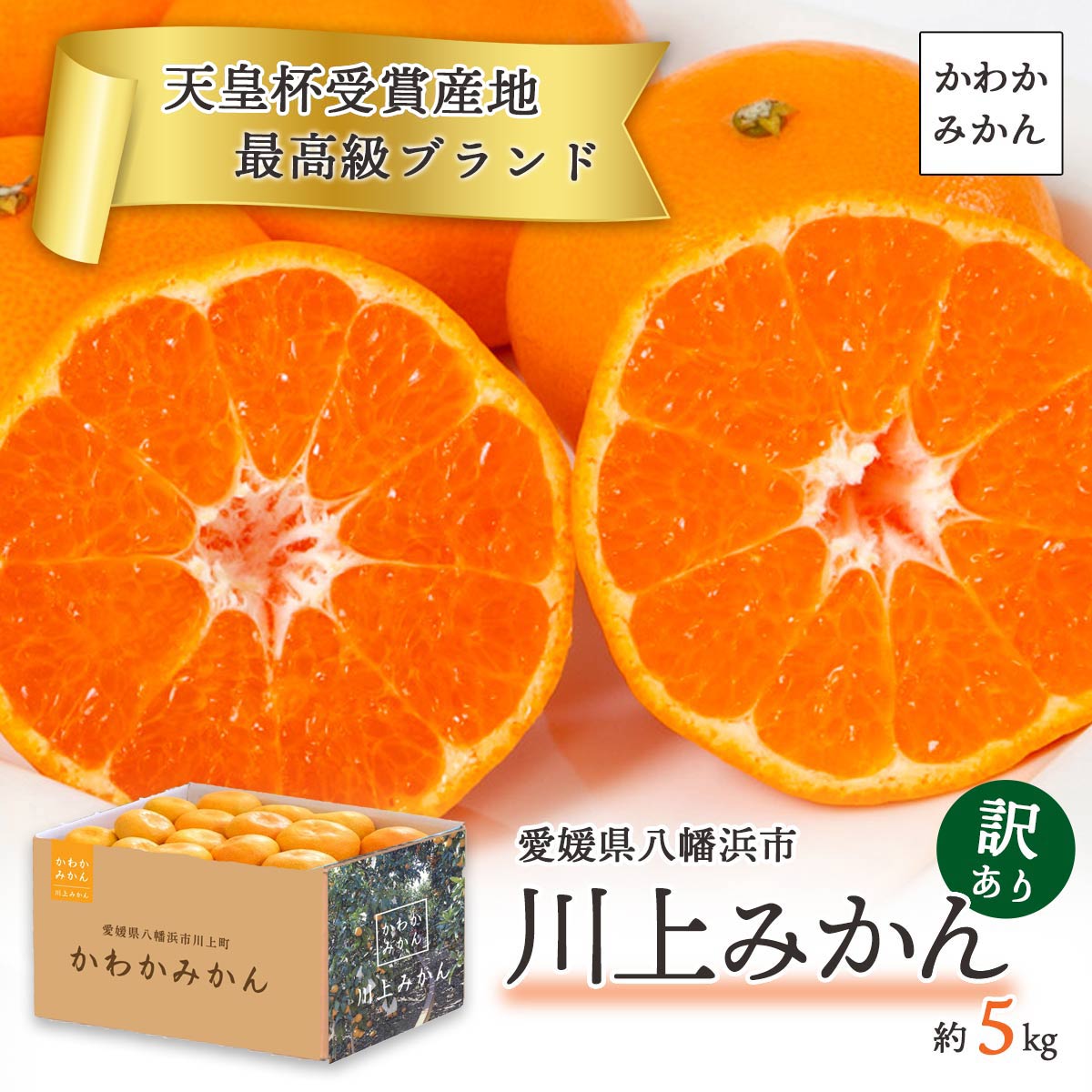 【予約】天皇杯受賞産地 川上みかん 訳あり5kg