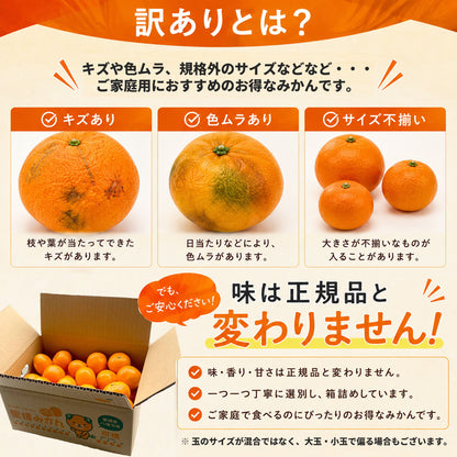 みかん定期便 訳ありコース