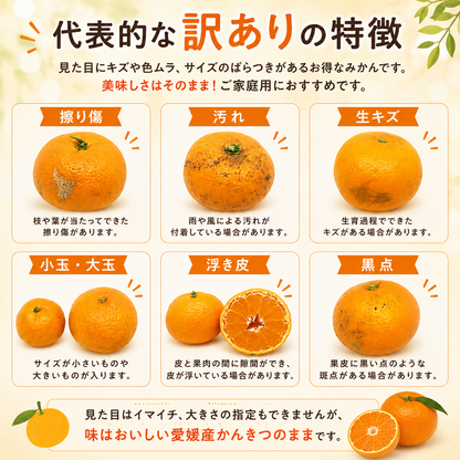 みかん定期便 訳ありコース