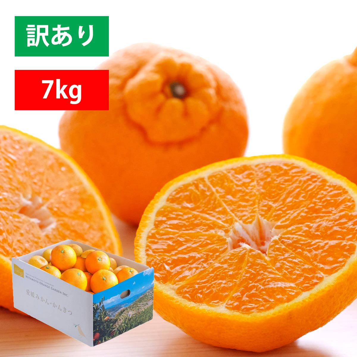 不知火 訳あり 7kg