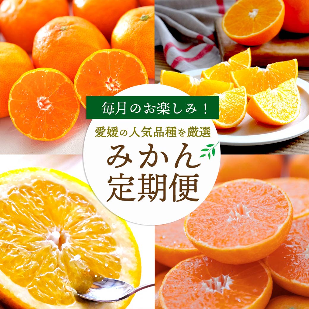 みかん定期便 訳ありコース