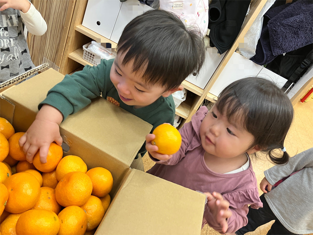 届いた箱からみかんを取り出す子どもたち