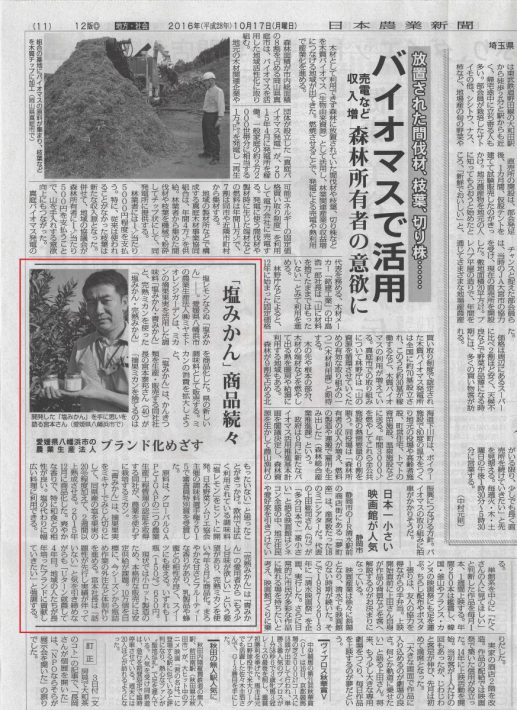 日本農業新聞で 当社 塩みかん が掲載されました ミヤモトオレンジガーデン